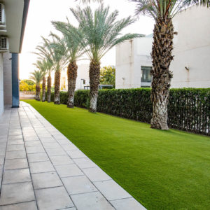 Zona exterior, Residencia de Alicante. Villa Universitaria