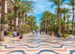 alt" verano Alicante villa universitaria